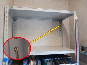 銅賞「控えめに言って、ガッツリ」