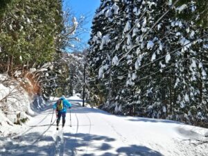銀賞「安全への一歩、新装備探しから！ 特殊なスキー板で安全移動！」 